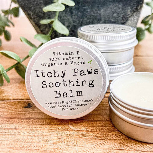 Itchy Paws Soothing Balm is a handmade all-natural balm that is formulated to deal with the discomfort of dog spring allergies