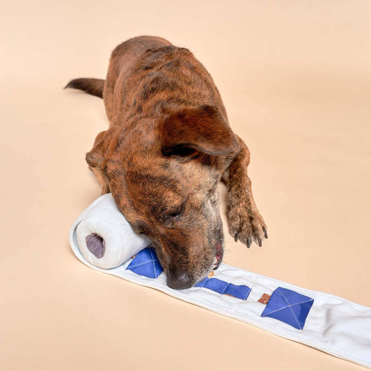 https://cdn.shopify.com/s/files/1/0684/2020/6894/products/interactive-dog-toy-toilet-paper-nosework-446659.jpg?v=1700660099&width=533