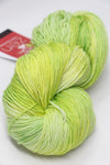 Zen Yarn Garden - Superfine Glitter Sock