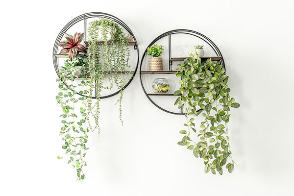 Metal Hanging Planters