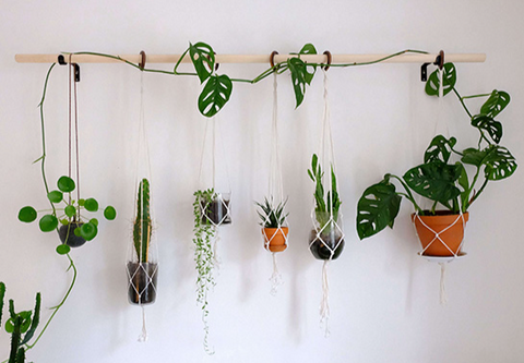 wall hanging planter