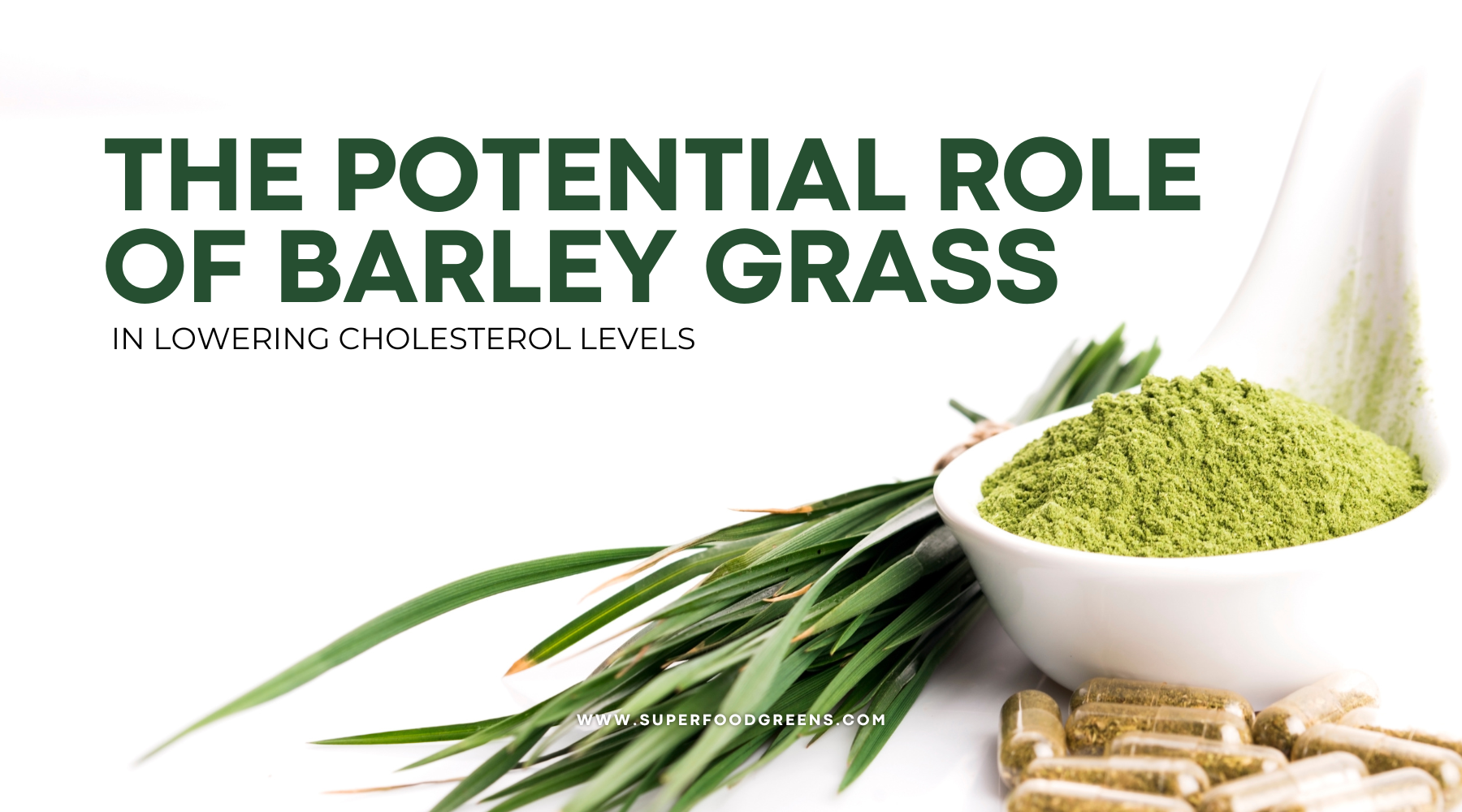 The Potential Role of Barley Grass in Lowering Cholesterol Levels | Superfood Greens
