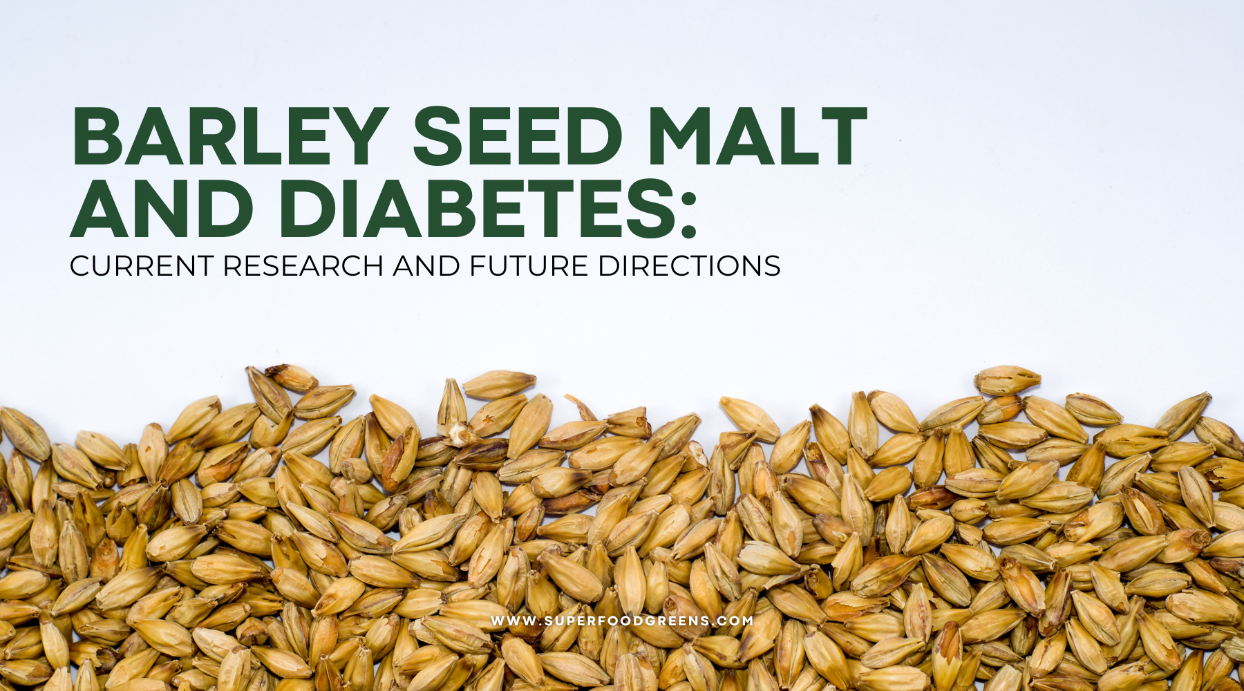  Unveiling the Potential of Barley Seed Malt | Superfoodgreens