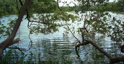 Laguna de los patos