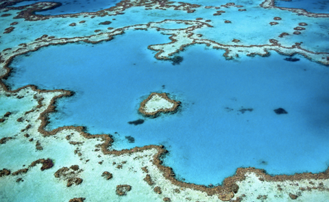 great barrier reef valentines