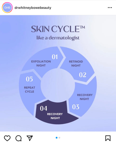 Skin Cyrcle's diagram
