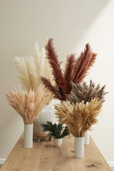 pampas grass