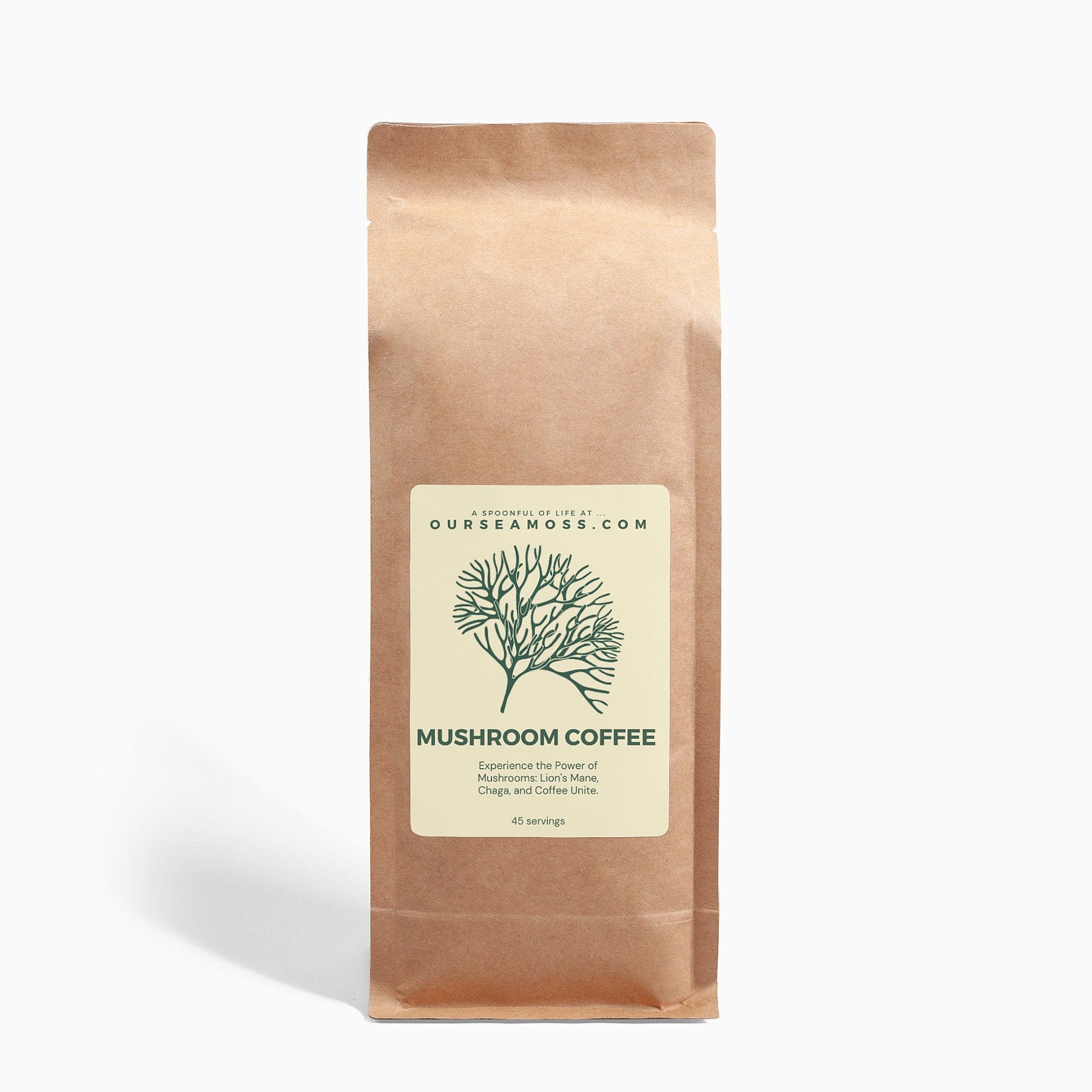 Mushroom Coffee Fusion - Lion’s Mane & Chaga 16oz - Ourseamoss product image