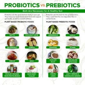 prebiotics