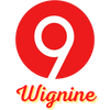 Wignine Coupons and Promo Code