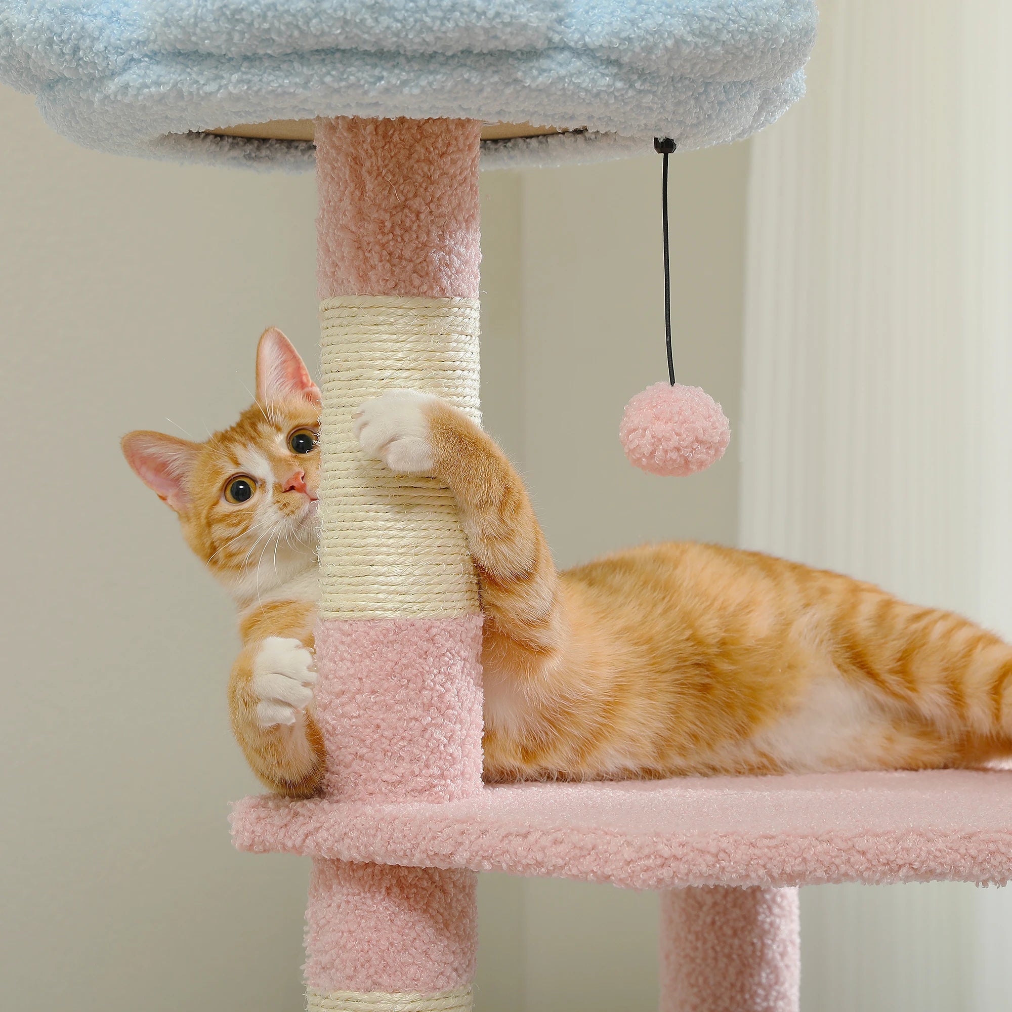 arbre-a-chat-ludique