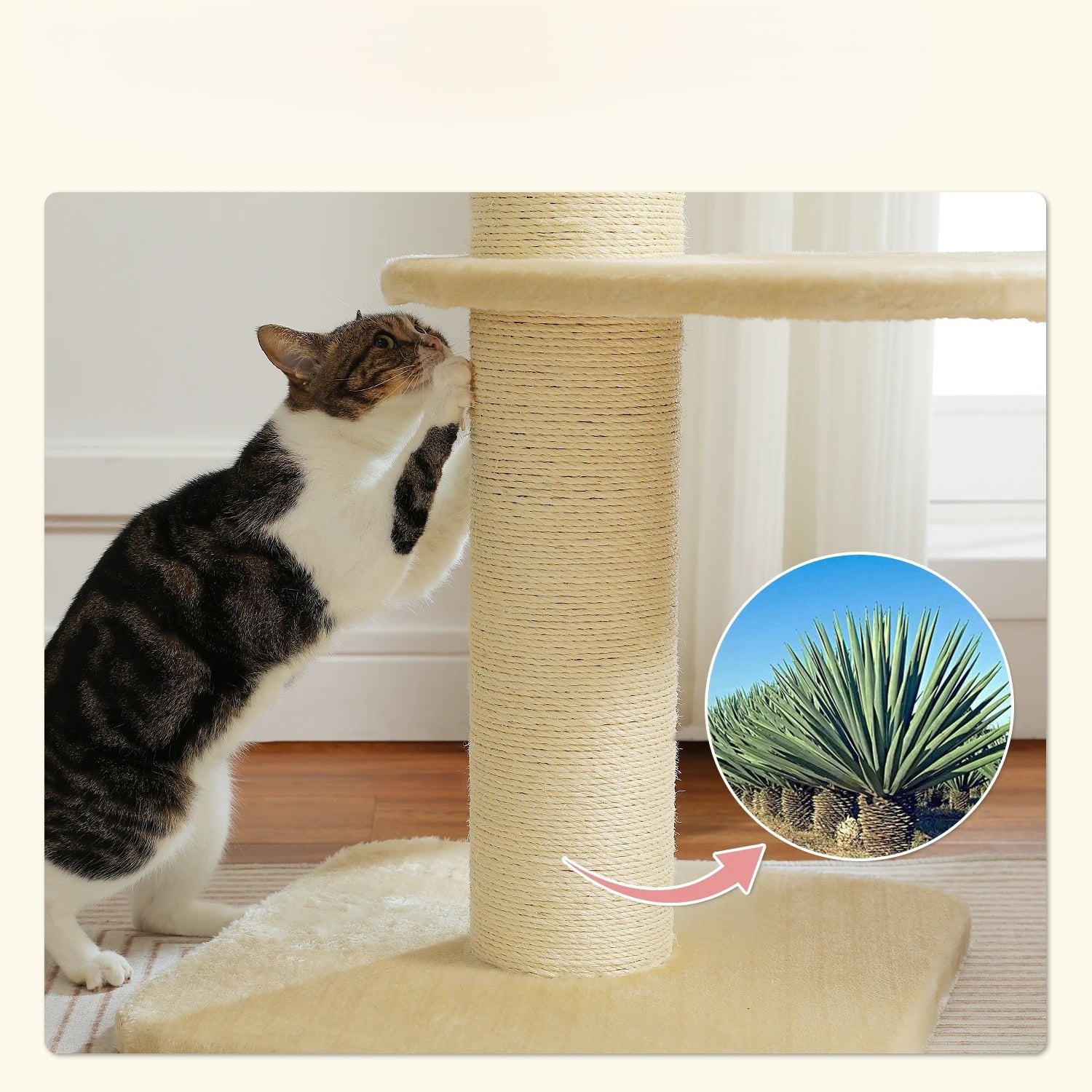 arbre-a-chat-sécuritaire