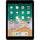 iPad 9.7-inches (2017) 5th gen 32 GB - Wi-Fi + 4G - Space Gray