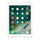iPad 9.7-inches (2017) 5th gen 32 GB - Wi-Fi + 4G - Gold
