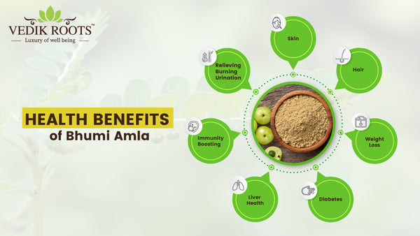 Bhumi Amla Powder, 8 Powerful Ways You Can Strengthen Your Heart, bhumi amla churna bhumi amla powder benefits bhumi amla powder uses bhumi amla powder online bhumi amla powder benefits in hindi how to use bhumi amla powder how to take bhumi amla powder