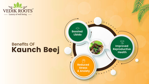 Kaunch Beej powder benefits, Benefits Of Shilajit Resin, Kaunchbeej Powder Kaunch beej benefits for male Kaunch Beej powder benefits Kaunch beej powder uses Kaunch beej in English How to consume Kaunch beej powder Kaunch Beej benefits for male in Hindi Kaunch beej benefits for female