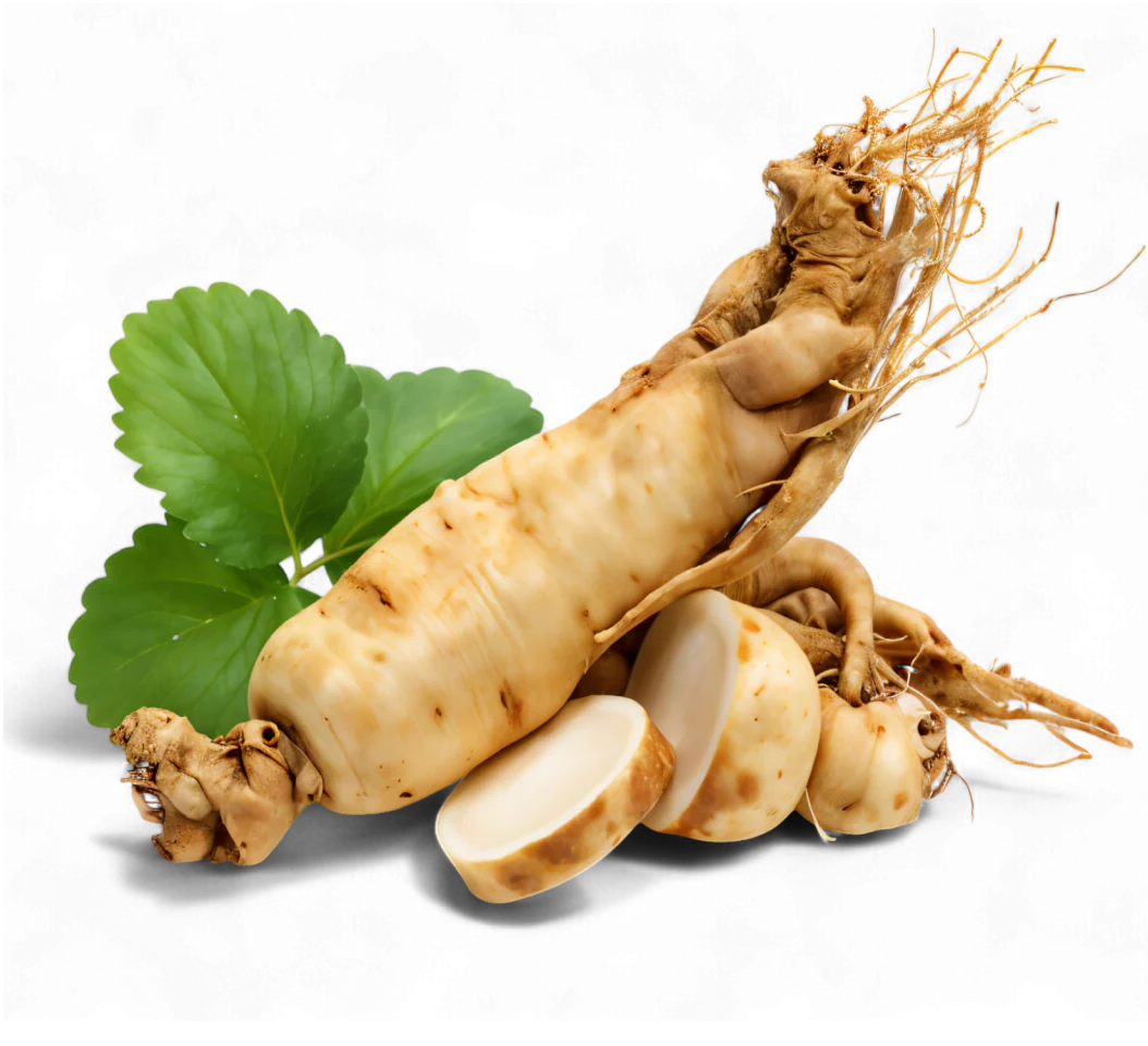 Extrait de Ginseng
