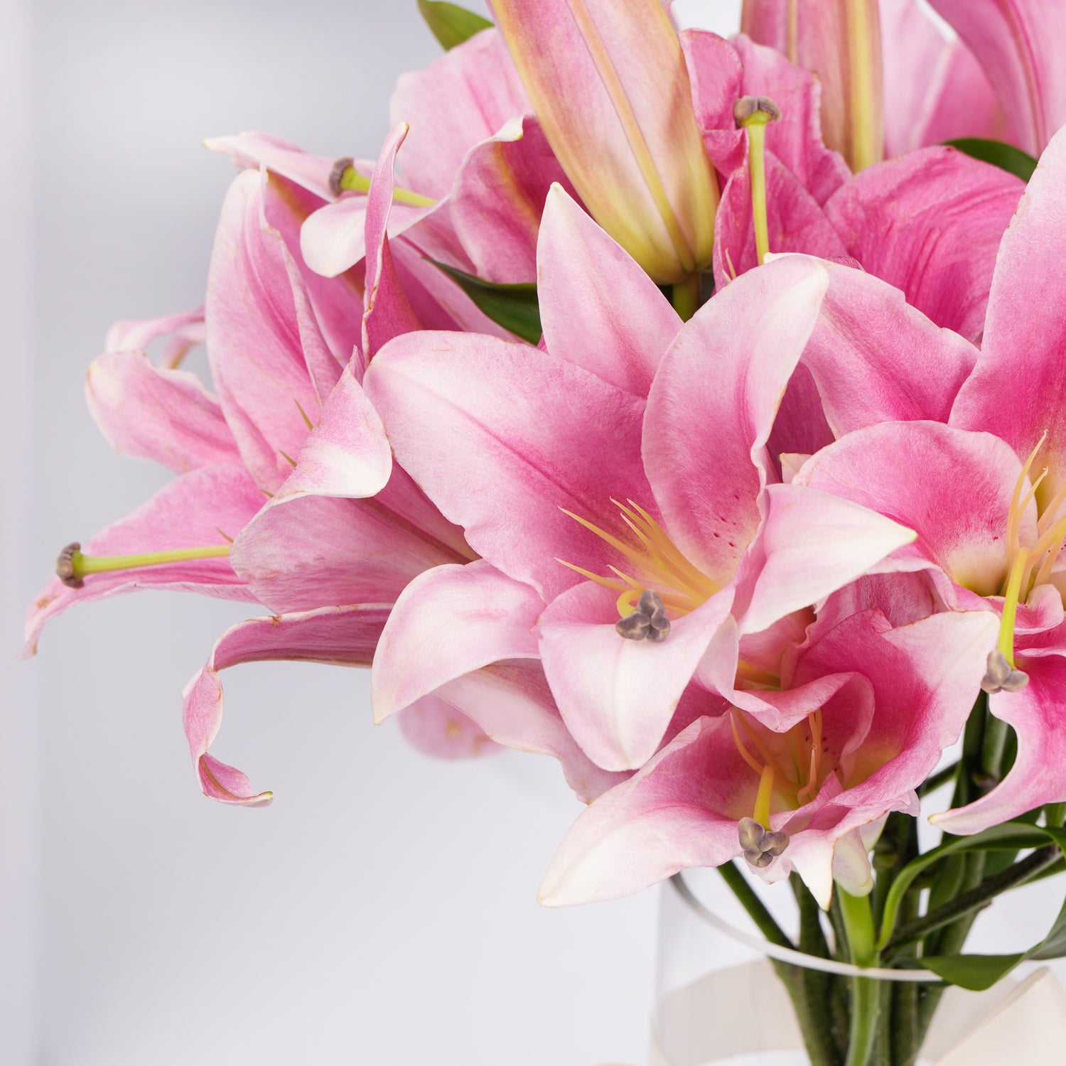 Blushing Pink Lillies II