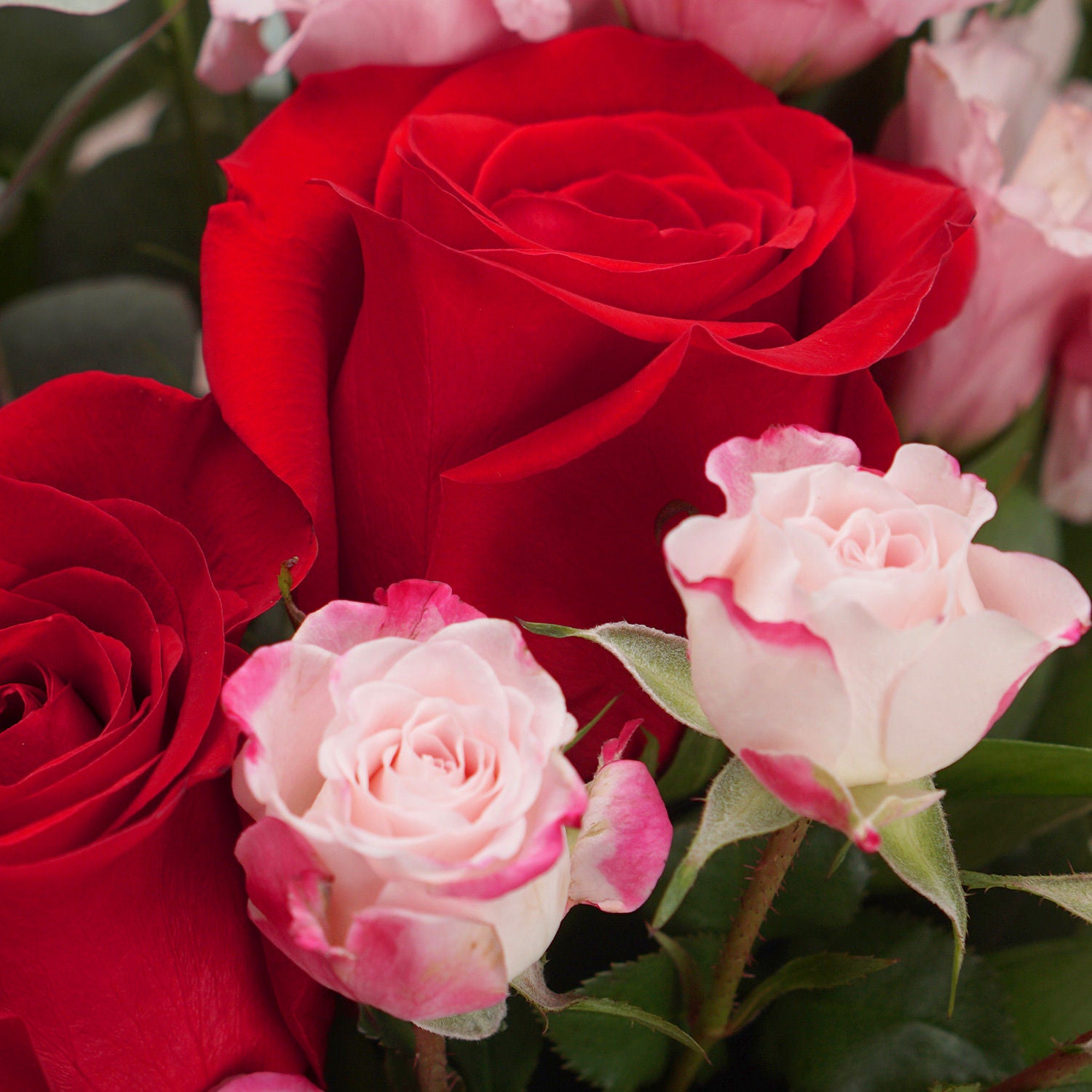 Beautiful Mixed Flowers Bouquet