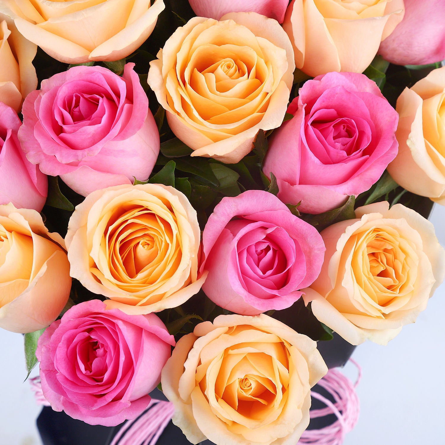 Blushing Rose Love Elegance