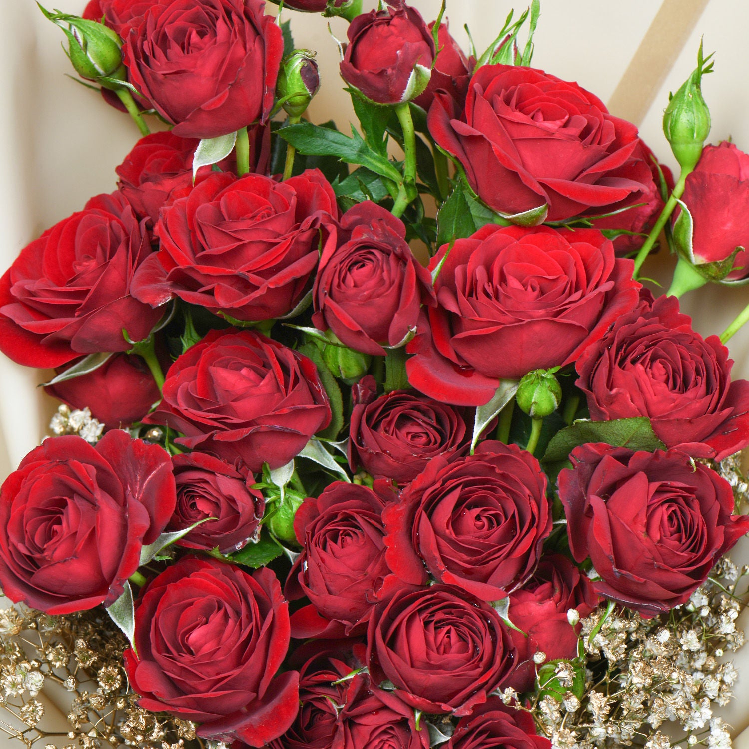 Crimson Heartfelt Roses