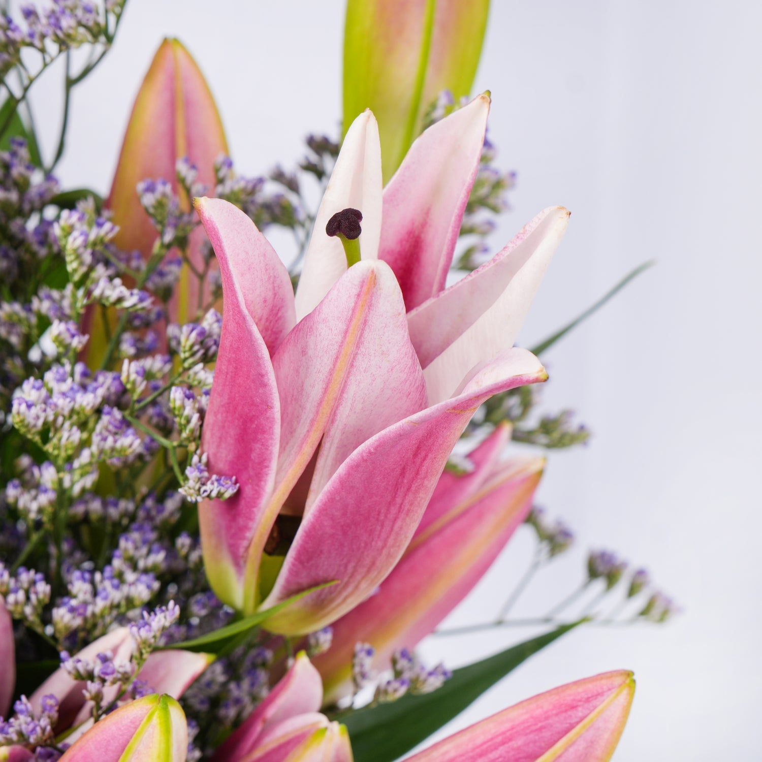 Grand Pink Petals Arrangement | Eid Mubarak