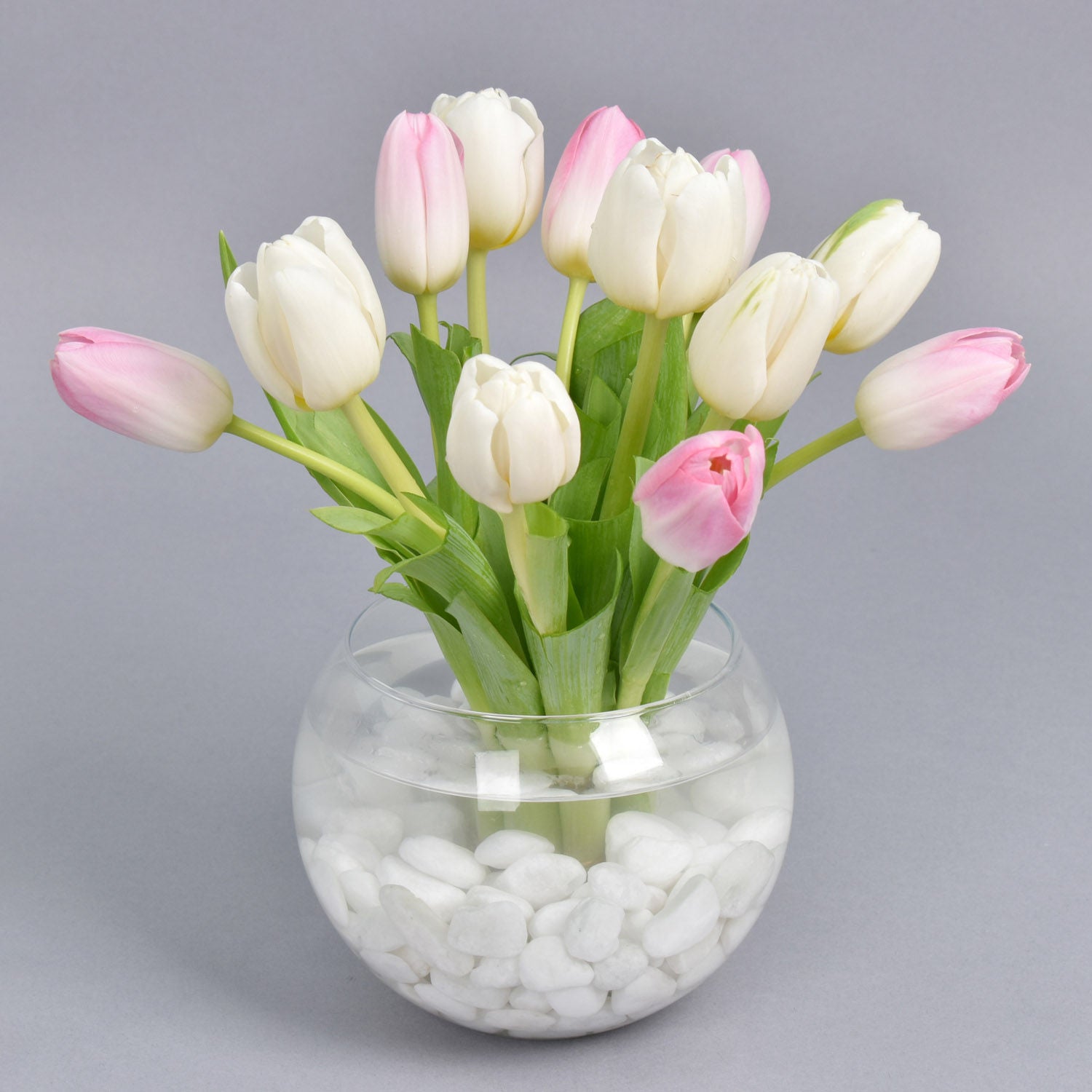 10 Tulips in Fish Bowl