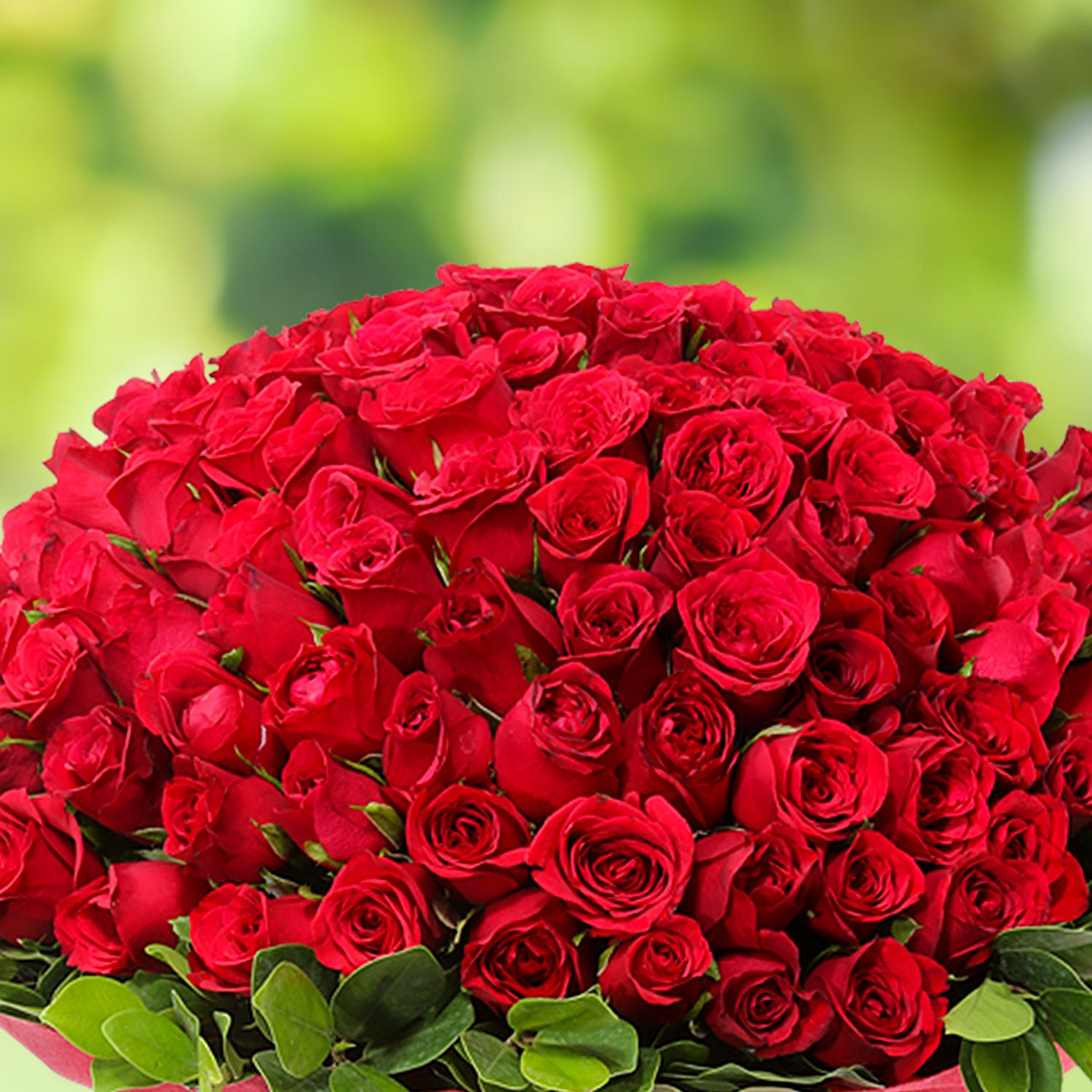 100 Red Roses