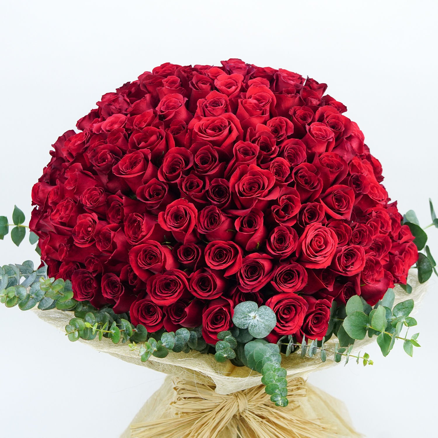100 Roses Grand Expressions