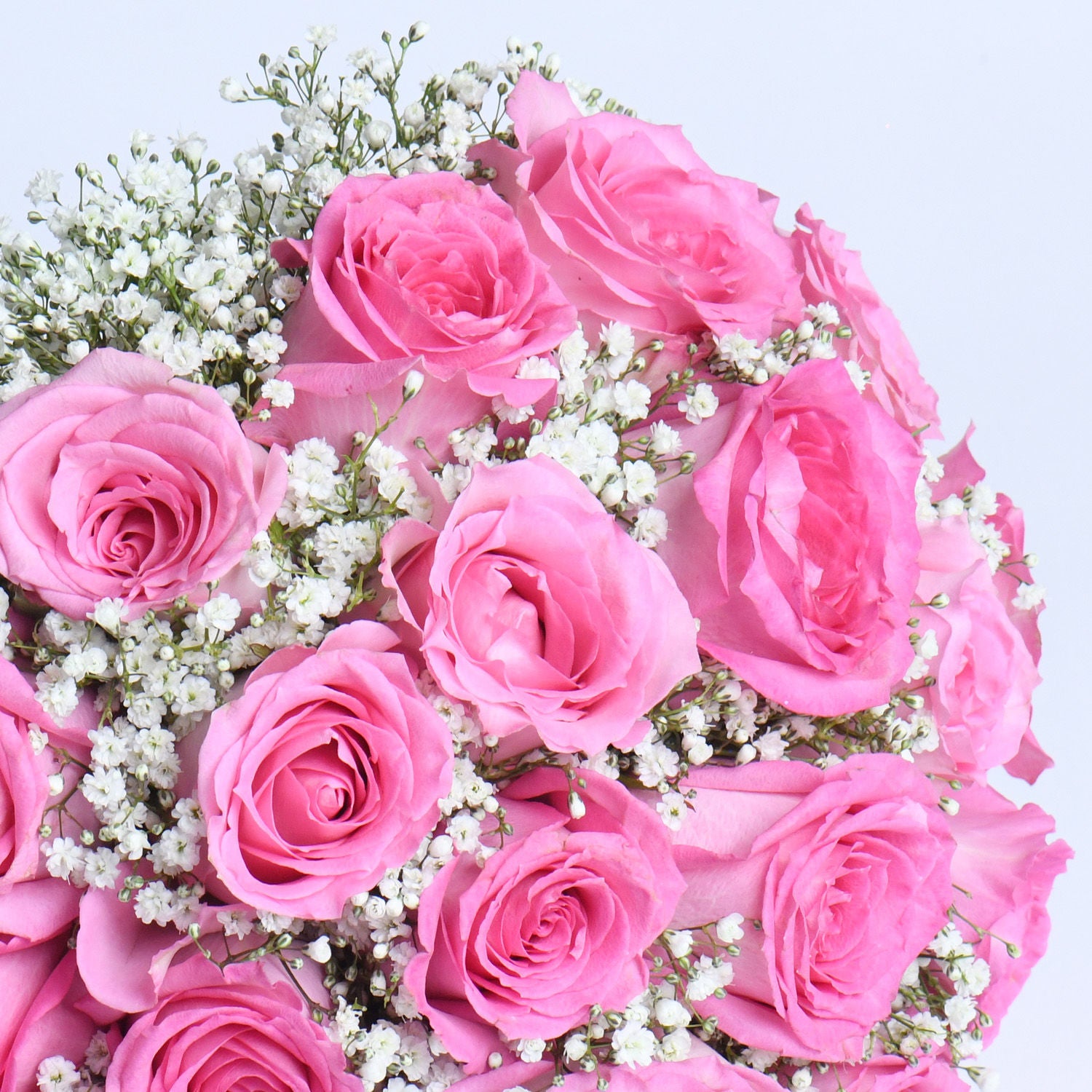 25 Pink Roses Bouquet