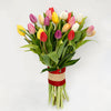 25 Vibrant Tulips Bunch