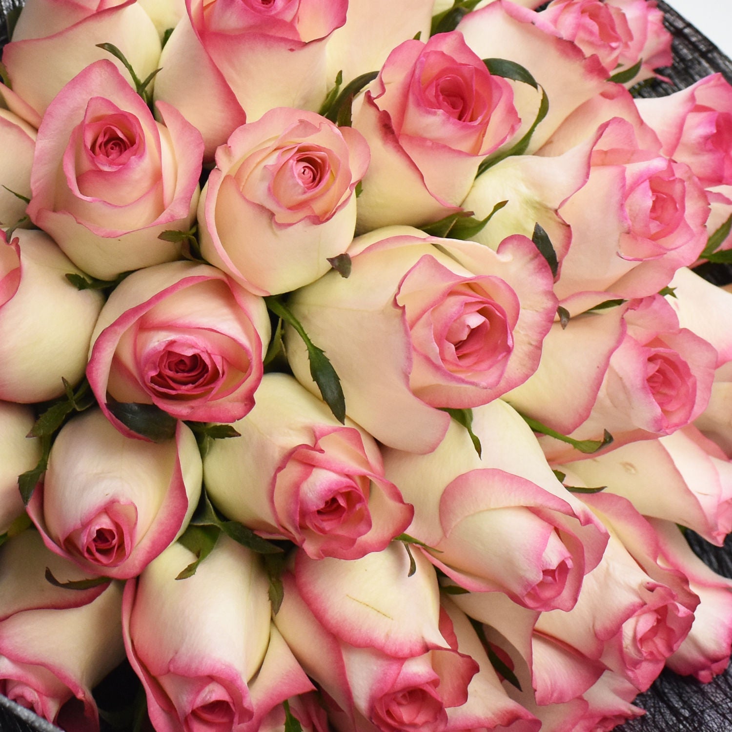 35 باقة من الورود الوردية مزدوجة الظل