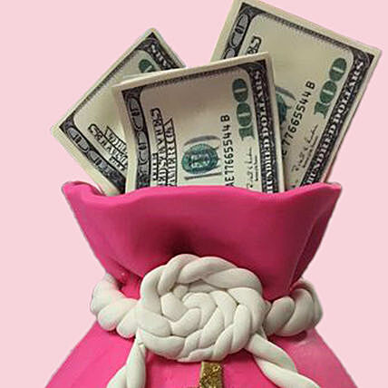 3d Money Bag Cake