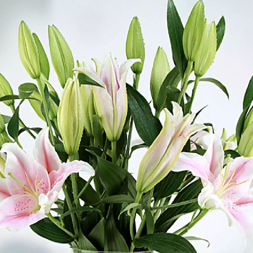 Stems Pink Lilies Vase