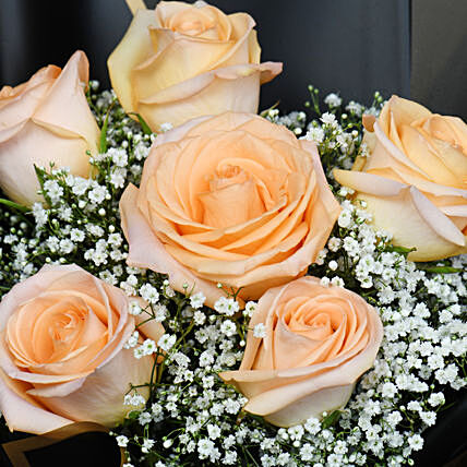 6 Peach Roses Hand Bouquet