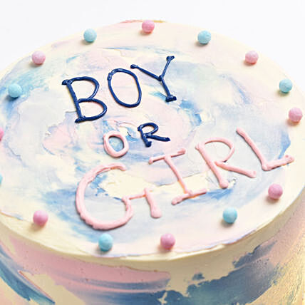 Gender Reveal Celebration Cake
