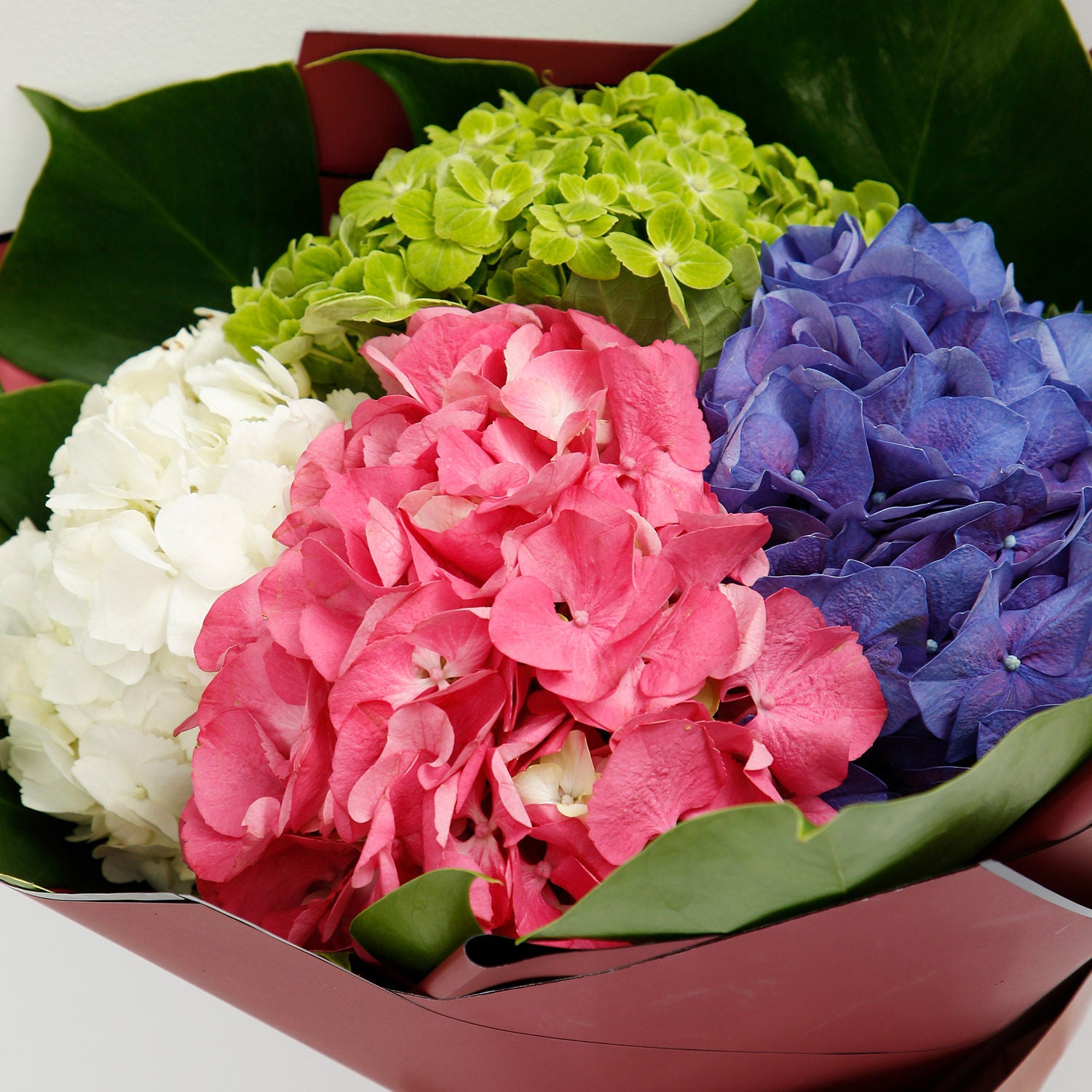 Beautiful 4 Colour Hydrangea Bouquet