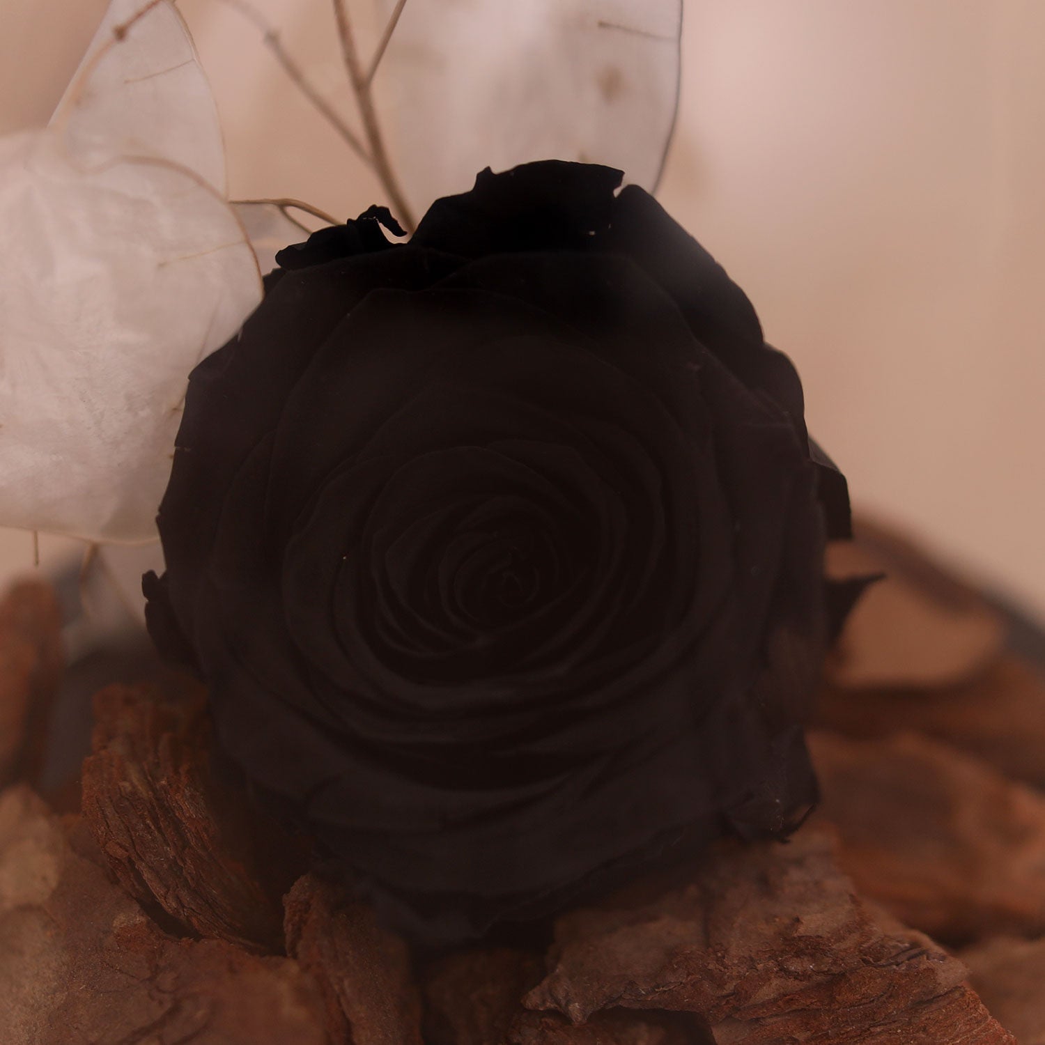 Black Forever Rose In Glass Dome