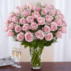 Bunch of 50 Gorgeous Pink Roses