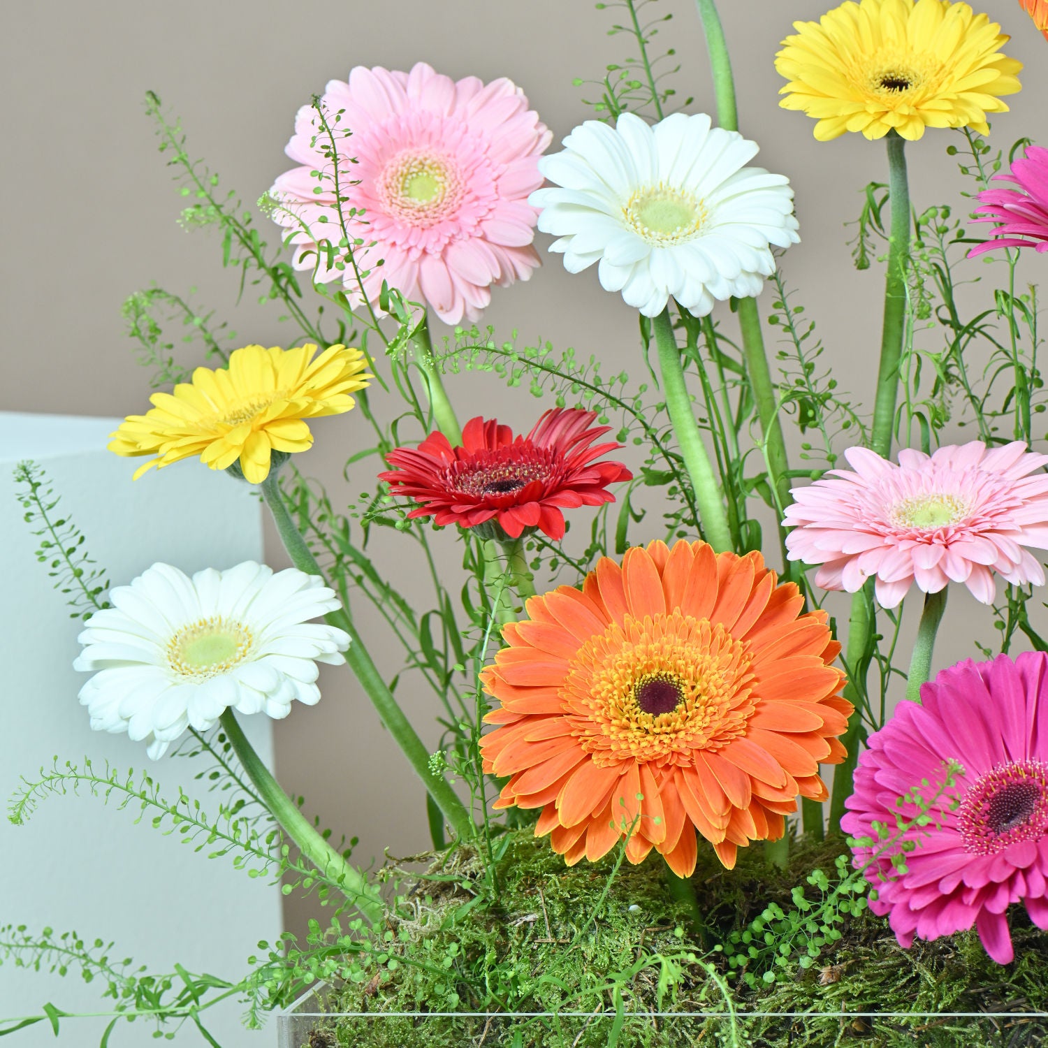 Colorful Flowers Arrangement
