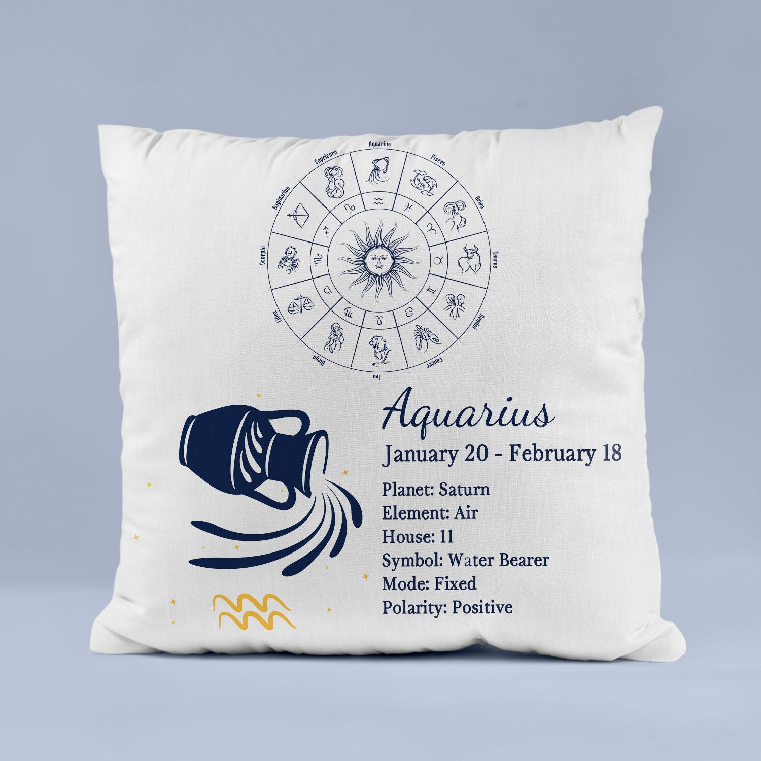 Cushion For Aquarius