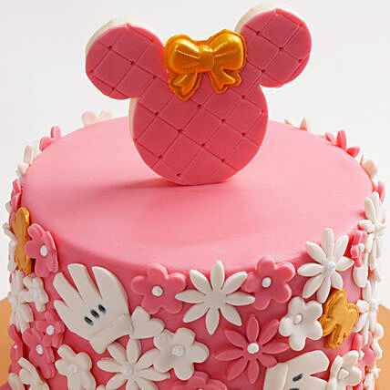 Minnie Magic Cake