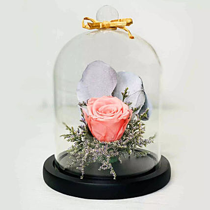 Forever Rose In Glass Dome Pink