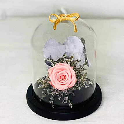 Forever Rose In Glass Dome Pink