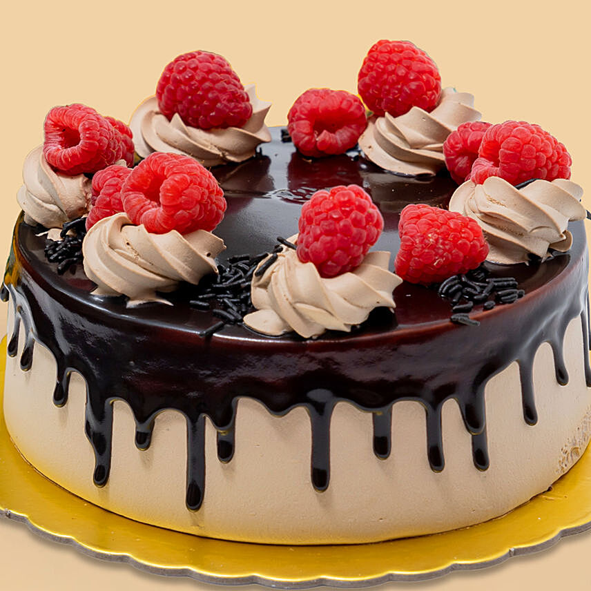 Fresh Chocolate Raspberry Cake