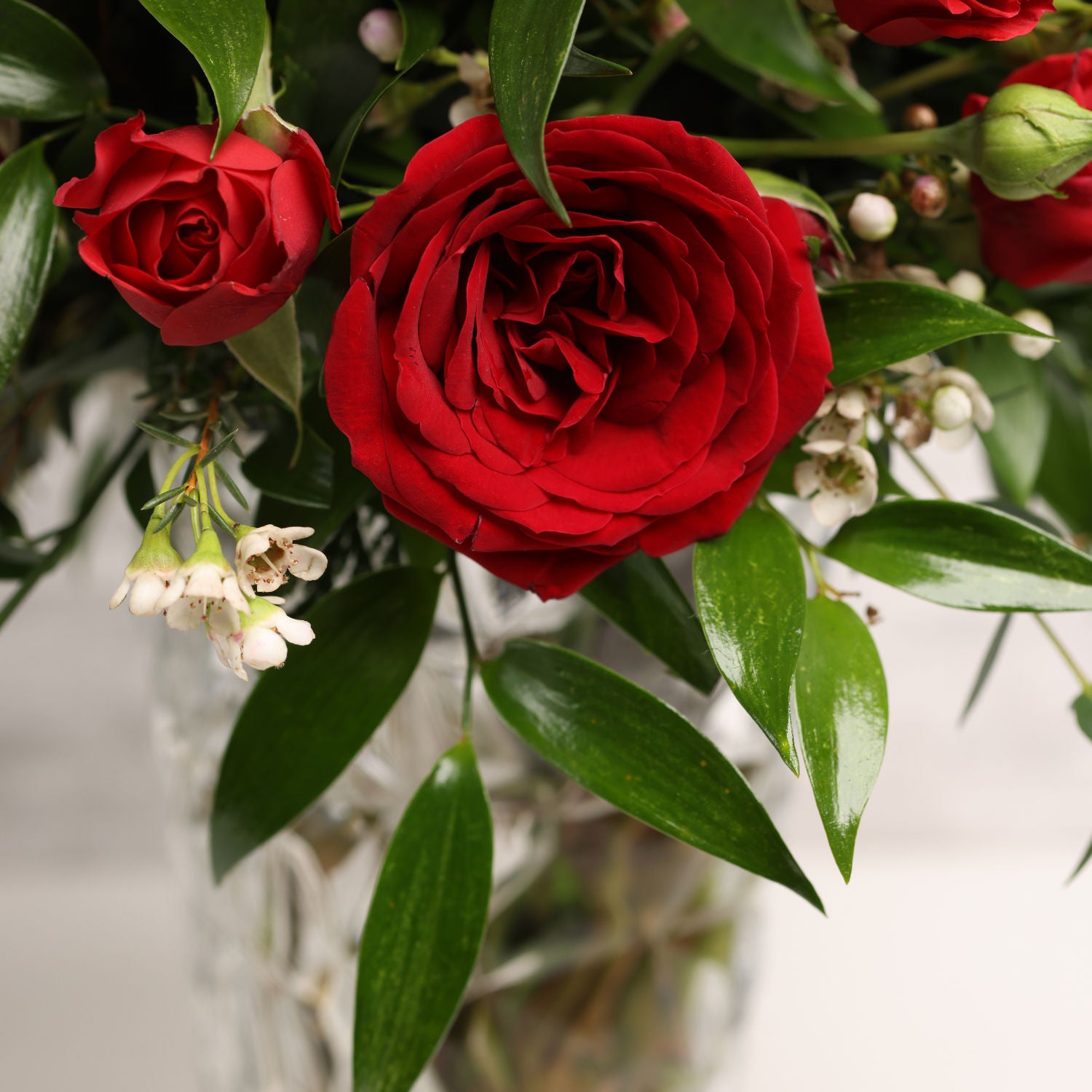 Fresh Red Roses in a Vase