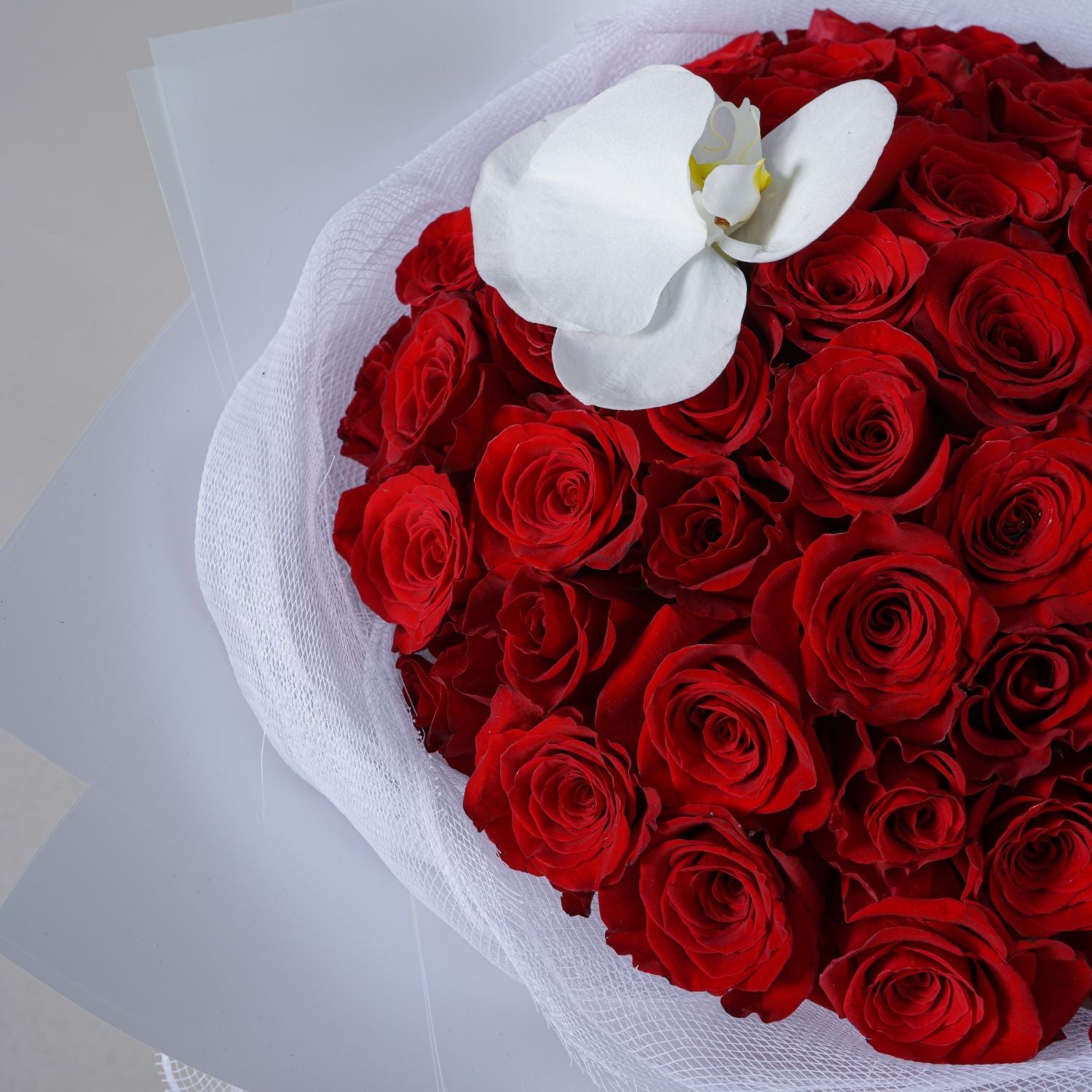باقة 50 وردة جوري أحمر مع وردة أوركيد في غلاف لون أبيض