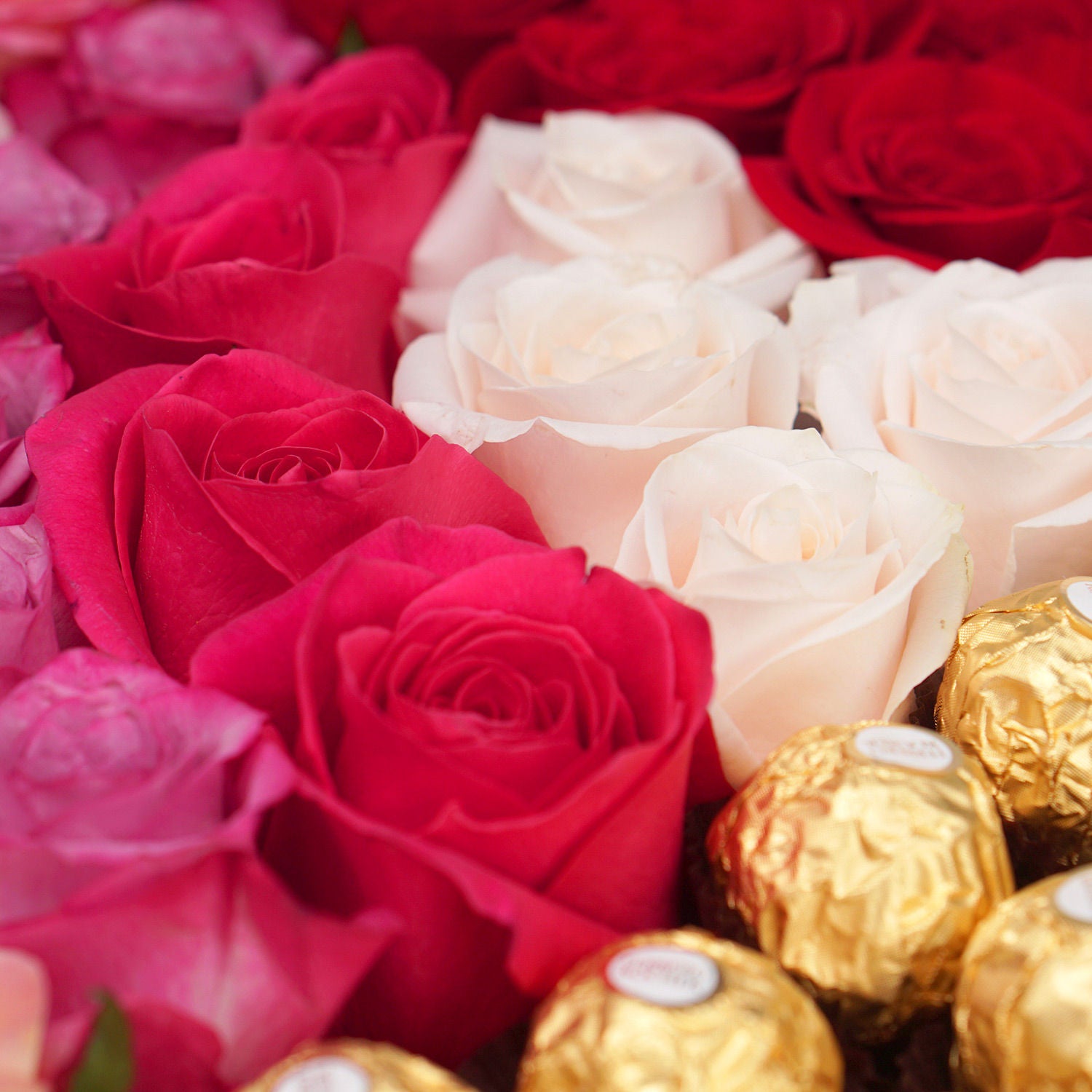 Glorious Mixed Roses & Ferrero Rocher Box