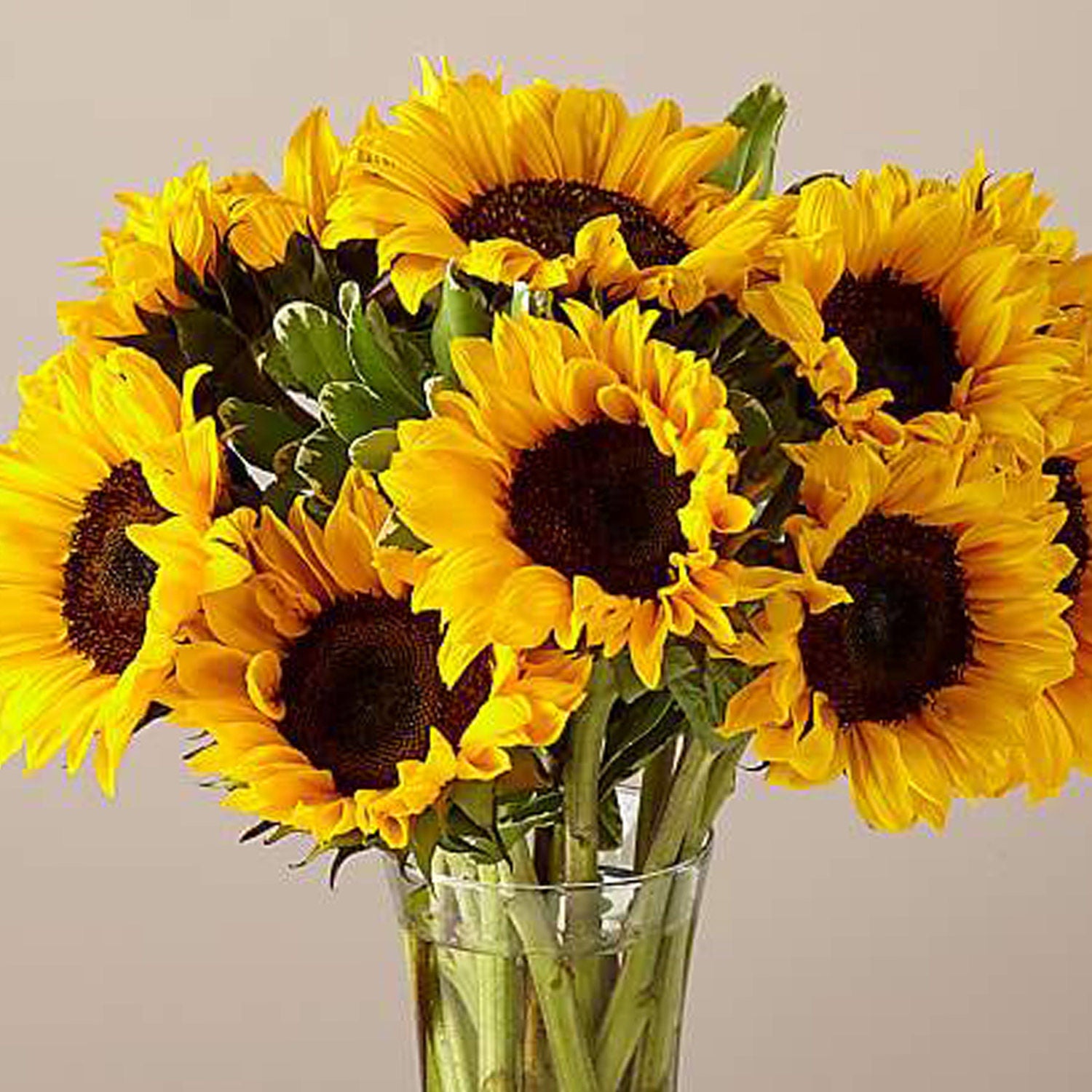 Gracious Sunflowers Glass Vase Arrangement