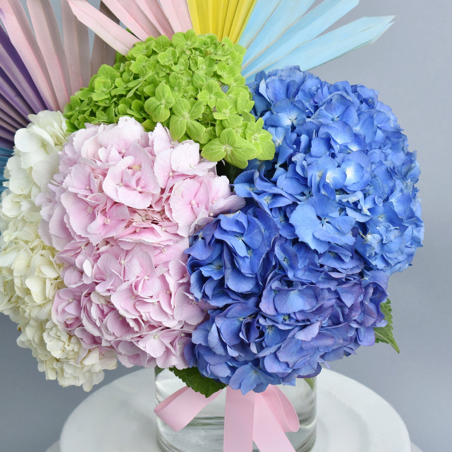 Hydrangea Beauty